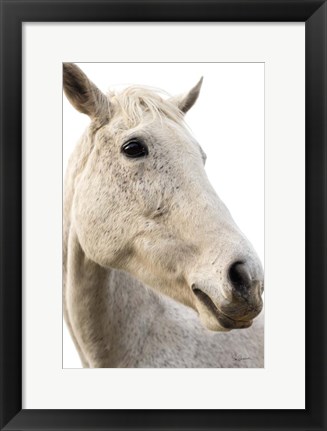 Framed Horse Named Lady II Print