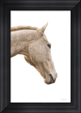 Framed Horse Named Lady I Print