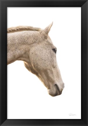 Framed Horse Named Lady I Print