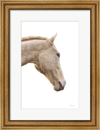 Framed Horse Named Lady I Print