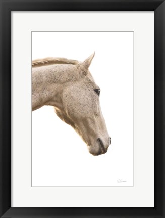 Framed Horse Named Lady I Print