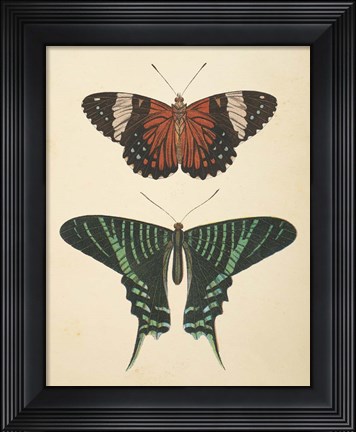 Framed Papillons I Print