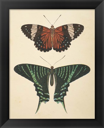 Framed Papillons I Print