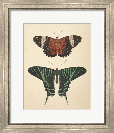 Framed Papillons I Print