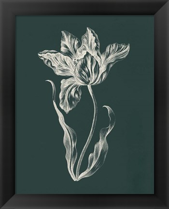 Framed Eden Tulips II Print