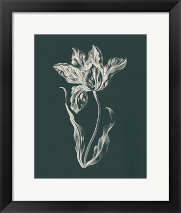 Framed Eden Tulips II Print