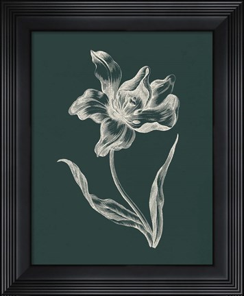Framed Eden Tulips I Print