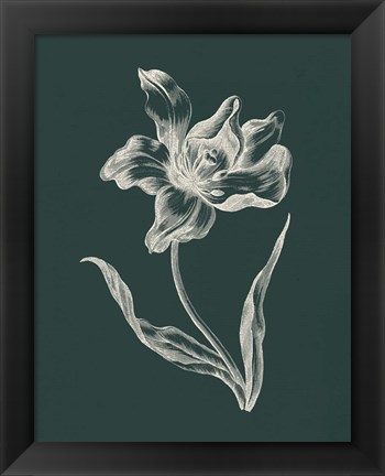 Framed Eden Tulips I Print