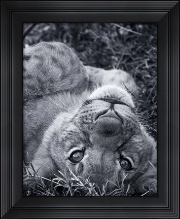 Framed I See You Print