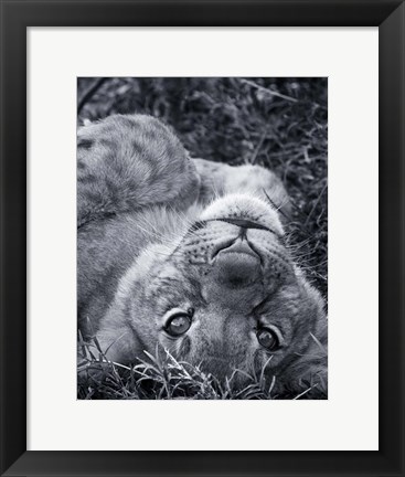 Framed I See You Print