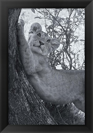 Framed Good Stretch Print