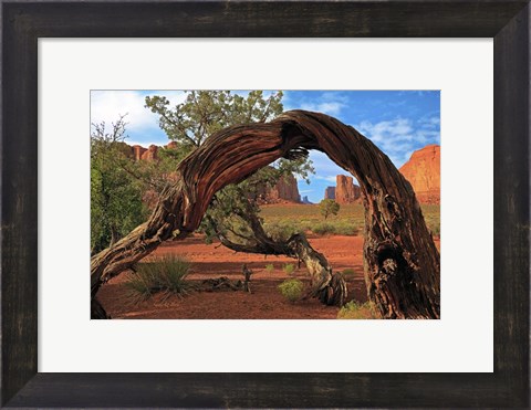 Framed Monument Valley Print