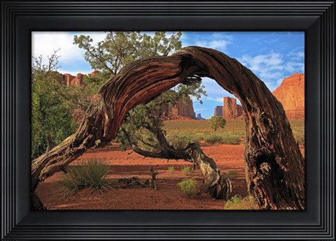 Framed Monument Valley Print
