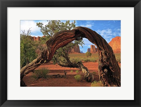 Framed Monument Valley Print