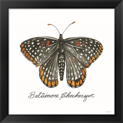 Framed Baltimore Checkerspot Print