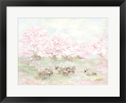 Framed Sheep in Spring Print