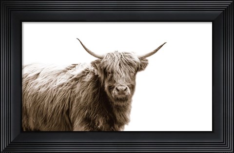 Framed Highland Portrait Print