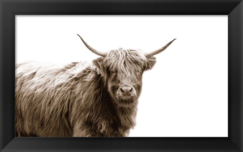 Framed Highland Portrait Print