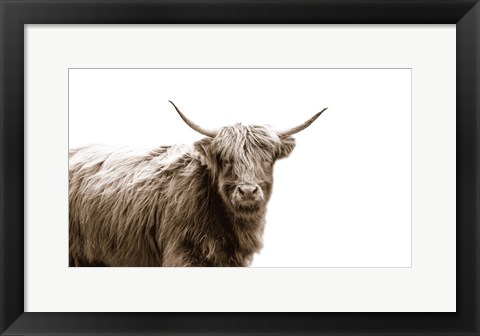 Framed Highland Portrait Print