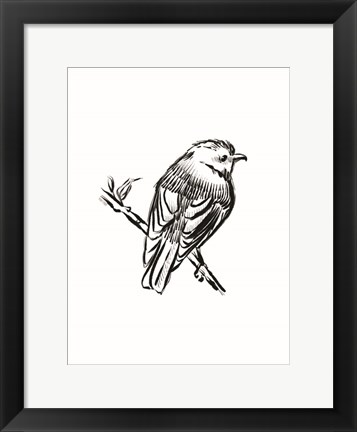 Framed Songbird Sketch I Print