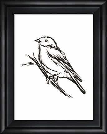 Framed Songbird Sketch II Print