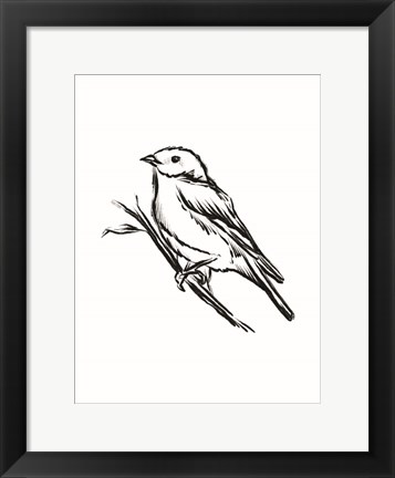 Framed Songbird Sketch II Print