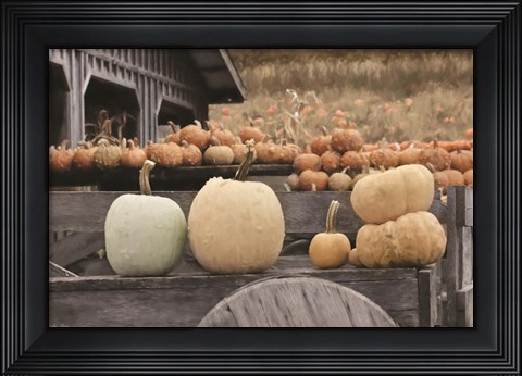 Framed Autumn Pumpkin Harvest Print