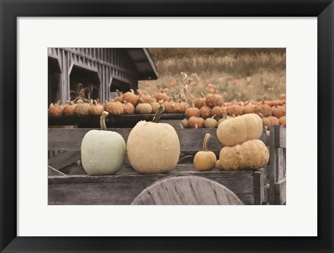 Framed Autumn Pumpkin Harvest Print