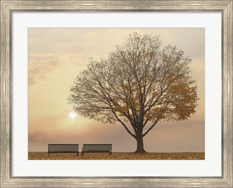Framed Golden Riverfront Sunrise Print