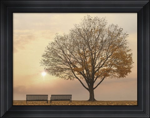 Framed Golden Riverfront Sunrise Print