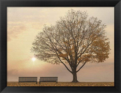 Framed Golden Riverfront Sunrise Print