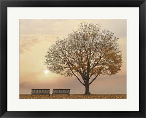 Framed Golden Riverfront Sunrise Print