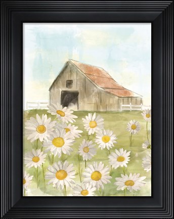 Framed Field of Daisies Print