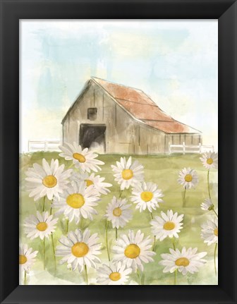 Framed Field of Daisies Print