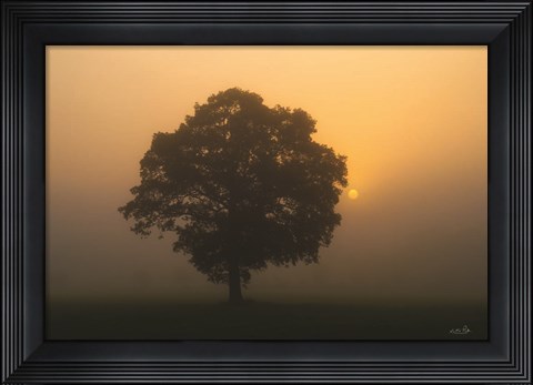 Framed Solitary Oak Print
