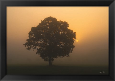 Framed Solitary Oak Print