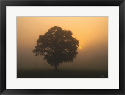 Framed Solitary Oak Print