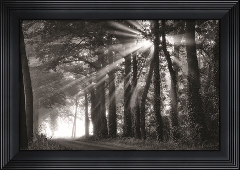 Framed Amazing Rays Print