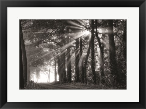 Framed Amazing Rays Print