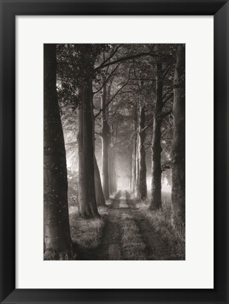 Framed Forest Path Print