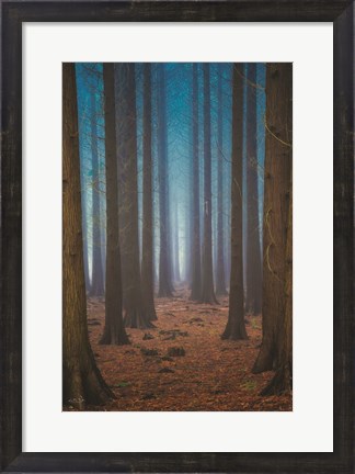 Framed Trees Everywhere Print