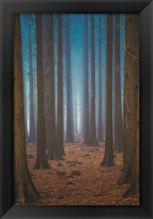 Framed Trees Everywhere Print