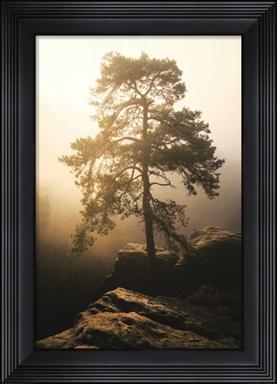 Framed On the Edge of Glory Print