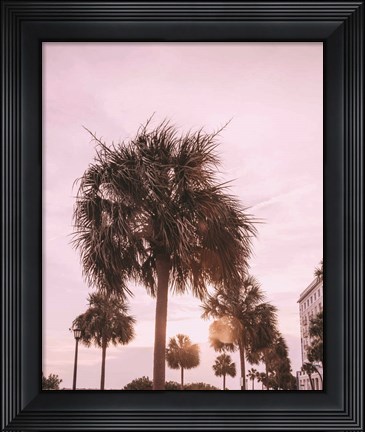 Framed Blush Summer Print