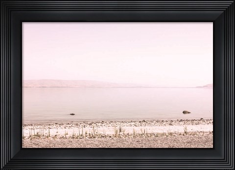 Framed Pastel Sea II Print