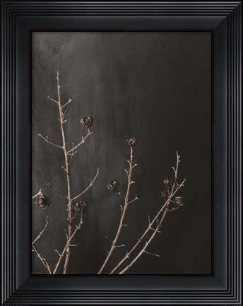 Framed Branches in Noir I Print