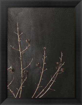 Framed Branches in Noir I Print