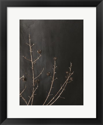 Framed Branches in Noir I Print