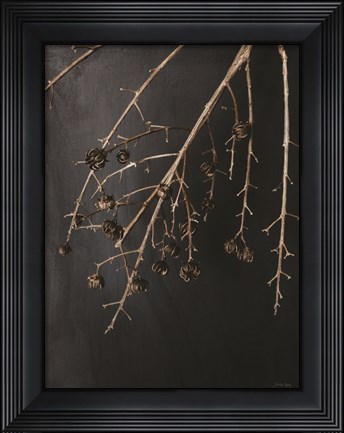 Framed Branches in Noir II Print