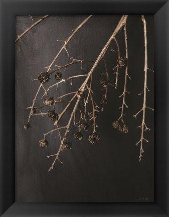 Framed Branches in Noir II Print